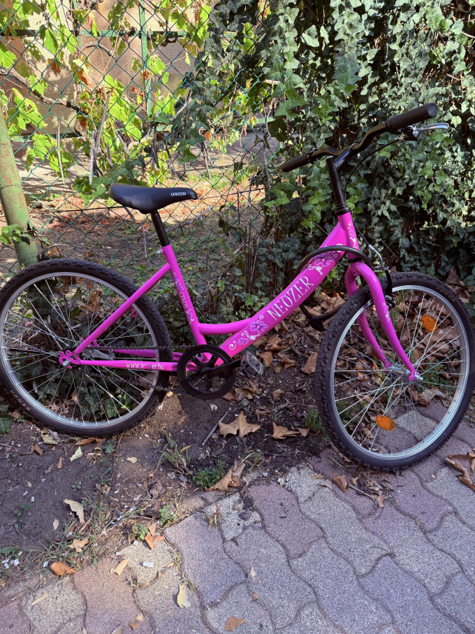 Használt neuzer cindy 24 